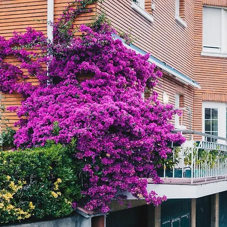 Apartman Neguri Geltokia By People Bilbao