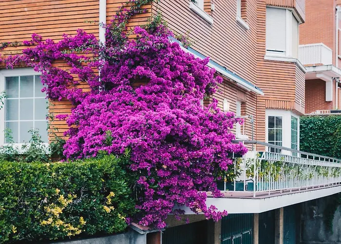 Apartment Neguri Geltokia By People Bilbao